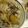 ikikikue's cooksnap of when they made 簡単!!ほっくりおいしいさつまいもご飯★.