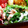 kumikko♪'s cooksnap of when they made ほうれん草のツナ和え.