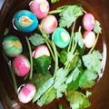 aya0i22's cooksnap of when they made 三つ葉が好きになる⁉お吸い物.