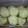 クマニャン's cooksnap of when they made 秋の芋＆栗きんとん.