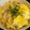 じんとっと's cooksnap of when they made 簡単！我が家の一押し親子丼.