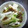 ASシュガー's cooksnap of when they made 〜涼しげ〜簡単！夏の酢の物.