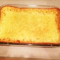 norippe74's cooksnap of when they made ハワイのおもち.