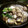 ホピオ's cooksnap of when they made たらとあさりの酒蒸し風.