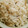 55_ひぃ_55's cooksnap of when they made 香ばしい～♪ 松茸ご飯.