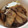けんしんまる's cooksnap of when they made ごぼうと牛肉の煮物.