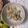 バニラキッズ's cooksnap of when they made 栗ご飯.