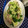 ともぱんたから's cooksnap of when they made ごはんがススム！野菜炒め.