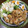 Saki5555's cooksnap of when they made 簡単！鶏むね肉の生姜焼き.