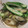 ハナチャ's cooksnap of when they made オクラとミョウガの焼き浸し.