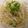 ぴぃにゃ♪'s cooksnap of when they made 5分でできる！超簡単もやしナムル.