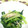 ちゅーこ☆'s cooksnap of when they made ヘルシー！小松菜とえのきのめんつゆ和え.