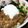 ﾍﾞｰｽﾒｲｸ's cooksnap of when they made ネバネバ納豆汁無しラーメン.
