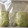よし★よし's cooksnap of when they made 中華料理によく使う　白葱の保存　.