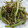 さぼてんクック's cooksnap of when they made いもの茎きんぴら.