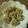 みゃあ姫's cooksnap of when they made 簡単！美味しい手作りシュウマイ.