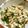 kiwi705's cooksnap of when they made 野沢菜の漬け物で簡単！野沢菜炒飯♪.