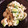 Kumikok's cooksnap of when they made きゅうりとちくわの白和え.