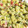 miemi0801's cooksnap of when they made アボカドとジャガイモのほくほくサラダ.