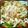 ♥あらたママ♥'s cooksnap of when they made 鶏ささみのサラダ.