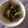 horseland's cooksnap of when they made いんげんの★胡麻和え.