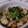 feriche's cooksnap of when they made 茄子の煮浸しそうめん.