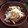 わい〜ん♪'s cooksnap of when they made 生栗から作る！栗ご飯.
