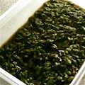 サトウサトコ's cooksnap of when they made シソの実.