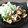 あず7225's cooksnap of when they made 下味冷凍：豚こまのしょうが焼き.