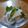 SunnyMaple's cooksnap of when they made 大根とバジルのサラダ♪.