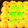 takosu48's cooksnap of when they made ほんのり甘いかぼちゃのちぎりパン♪.