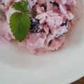 りちあ's cooksnap of when they made さっぱり♡ヨーグルトブルーベリーアイス☆.