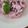 りちあ's cooksnap of when they made さっぱり♡ヨーグルトブルーベリーアイス☆.