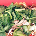 クック7G6L7A☆'s cooksnap of when they made 簡単★レンジで舞茸と小松菜のお浸し.