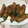 いつかは赤岳's cooksnap of when they made 簡単！ピーマンの肉巻き炒め.