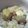 くゆゅ's cooksnap of when they made 秋の味覚★シンプル栗ご飯.