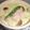 まりーや's cooksnap of when they made ホワイトソースDE茶碗蒸し.