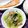 福山うりぼう's cooksnap of when they made 帆立のヒモで小松菜の味噌バター煮♪.