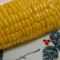 ドビどび's cooksnap of when they made 基本の『き』とうもろこしの茹で方.