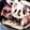 ちなぞう's cooksnap of when they made れんこんとにんじんのきんぴら.