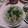 yyy510's cooksnap of when they made なめ茸とツナ缶の簡単炊き込みご飯♪.