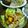 うが☆'s cooksnap of when they made 根菜と、お豆のサラダ.