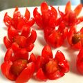 はるママ58924's cooksnap of when they made プチトマトのお花.