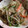 パフェうさこ's cooksnap of when they made 節約(^^)おつまみ♬白滝➕モヤシ炒め♬.