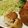 ごんの泉's cooksnap of when they made 失敗しない!!カニクリームコロッケ☆.