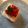 horseland's cooksnap of when they made 新玉ねぎを使って♪イタリアン風冷や奴☆.