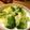 argemasaki's cooksnap of when they made ブロッコリーたまごあんかけ.