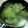 クックTZ9J0I☆'s cooksnap of when they made 鶏ガラスープの素で！中華風スープ☆.