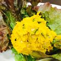 chan♡'s cooksnap of when they made 混ぜるだけ♪かぼちゃとツナのサラダ.