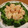 i_yokan's cooksnap of when they made 簡単おいしいえびまよ♡.